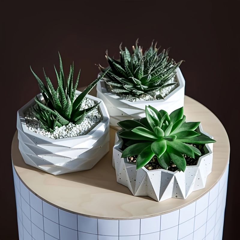 1/2 stuks grote ronde onregelm - Potsticker Mold recensie en prijs