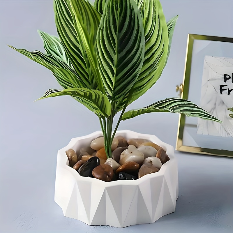 1/2 stuks grote ronde onregelm - Potsticker Mold recensie en prijs