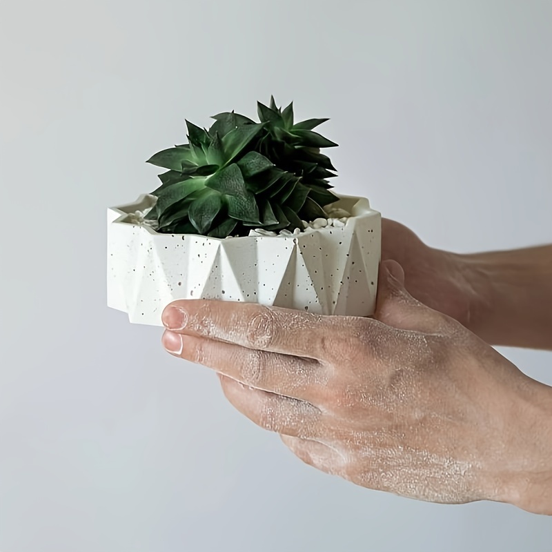1/2 stuks grote ronde onregelm - Potsticker Mold recensie en prijs